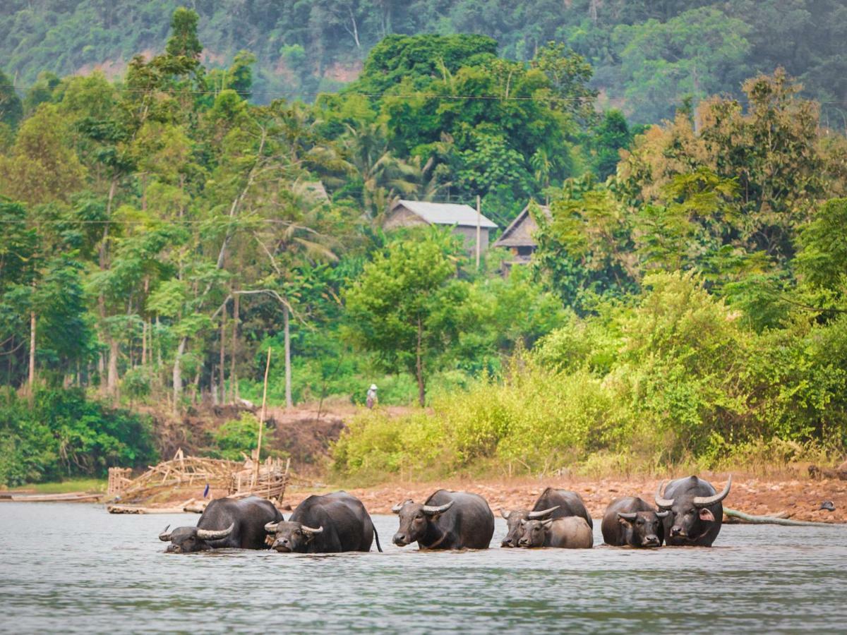 Muang La Lodge Екстер'єр фото